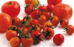 Picture of Freshly grown tomatoes 1kg Rs50
